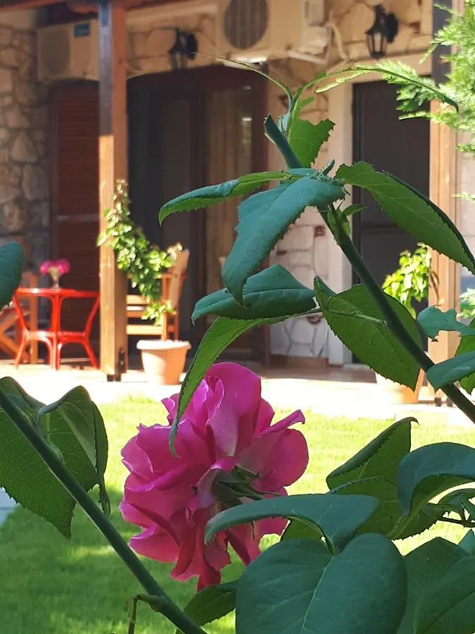 Villa George 阿菲托斯